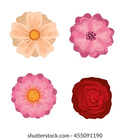 floral decorationisolated icon design, vector illustration  graphic 