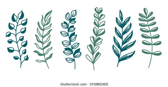 Floral decorative branches boho trendy vector drawings set