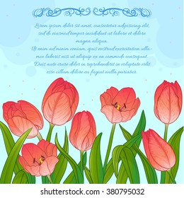 Floral decorative card with tulips on blue background and place for text, vector image, eps10
