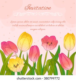 Floral decorative card with tulips on pink background and place for text, vector image, eps10