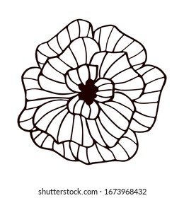 Elementos decorativos florales. Plantilla para tarjeta.Flor abstracta, ilustración vectorial.