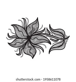Floral decorative element. Vector illustration