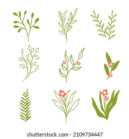 Floral decorative elements for prints, poster, banner, wedding card, invitation