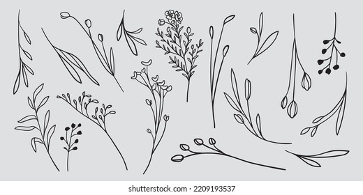 Floral decorative elements set. Botanical set outline on gray background. Botanical clipart. Collection botanical element. One Line Drawing Vector Flowers