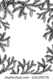 Floral decorative frame with pine spruces, cones and leaves. Hand drawn illustration. Vector. Isolater