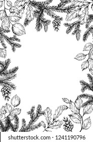 Floral decorative frame with pine spruces, cones and leaves. Hand drawn illustration. Vector. Isolater