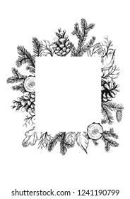 Floral decorative frame with pine spruces, cones and leaves. Hand drawn illustration. Vector. Isolater