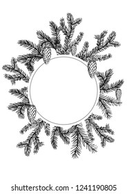 Floral decorative frame with pine spruces, cones and leaves. Hand drawn illustration. Vector. Isolater
