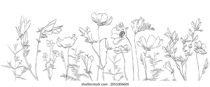 Floral decorative illustration vector. Nature pattern elements.
Hand drawn black line meadow of flower object. Herbal and botanical plant isolated on white background.