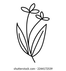 floral decorative line art illustration 