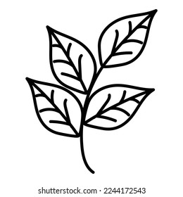 floral decorative line art illustration 