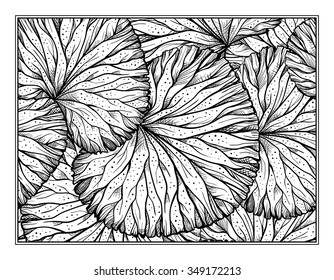 Floral decorative ornamental coloring page for art therapy