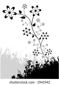 Floral Design