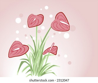 Floral Design: Anthurium - Vector