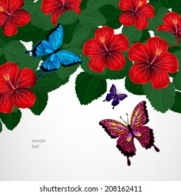 Floral design background. Hibiscus flowers with butterflies.