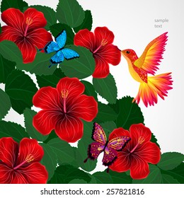 Floral design background. Hibiscus flowers with bird, butterflies.