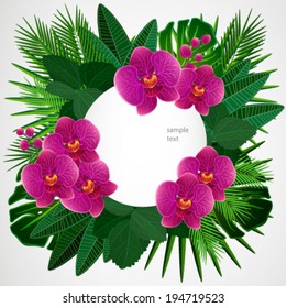 Floral design background. Orchid flowers.