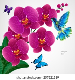 Floral design background. Orchid flowers with bird, butterflies.