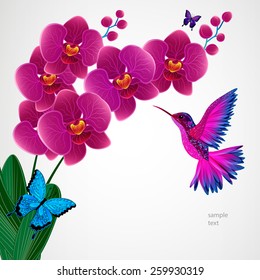 Floral design background. Orchid flowers with bird, butterflies.