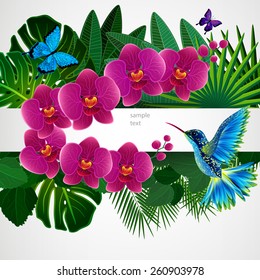 Floral design background. Orchid flowers with bird, butterflies.