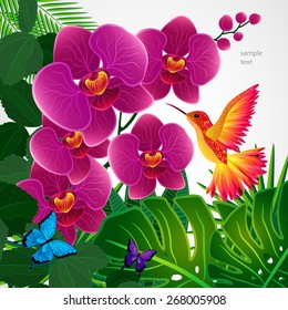 Floral design background. Orchid flowers with bird, butterflies.