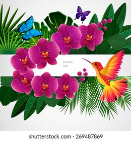 Floral design background. Orchid flowers with bird, butterflies.