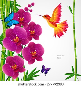 Floral design background. Orchid flowers with bird, butterflies.