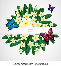 Floral design background. Plumeria flowers with butterflies.