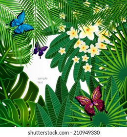 Floral design background. Plumeria flowers, tropical leaves and butterflies.