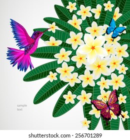 Floral design background. Plumeria flowers with bird, butterflies.