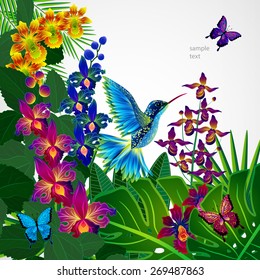 Floral design background. Tropical orchid flowers, birds and butterflies. 