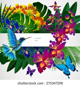 Floral design background. Tropical orchid flowers, birds and butterflies. 