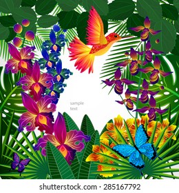 Floral design background. Tropical orchid flowers, birds and butterflies. 