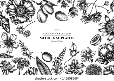 Floral design with black and white almond, dandelion, ginger, poppy flower, passion flower, tilia cordata