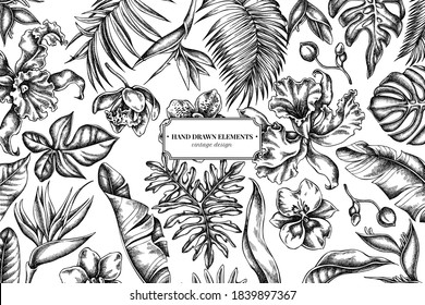 Floral design with black and white monstera, banana palm leaves, strelitzia, heliconia, tropical palm leaves, orchid