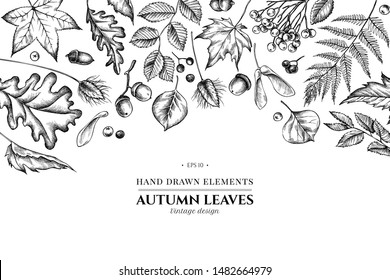 Floral design with black and white rowan, rowan, acorn, buckeye, fern, maple, birch, maple leaves, lagurus