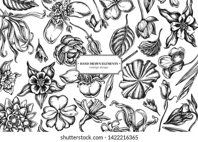 Floral design with black and white ylang-ylang, impatiens, daffodil, tigridia, lotus, aquilegia