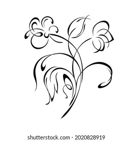 floral design with blooming flowers on stems with leaves and curls in black lines on a white background