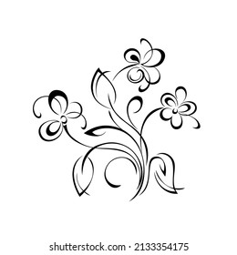 floral design with blooming flowers on stems with leaves and curls. graphic decor