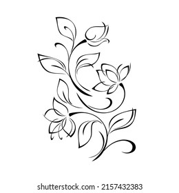 floral design with blooming flowers on stems with leaves and curls. graphic decor