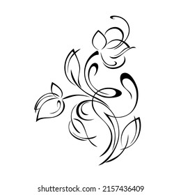 floral design with blooming flowers on stems with leaves and curls. graphic decor