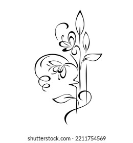 floral design with blooming flowers on stems with leaves and curls. graphic decor