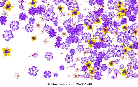 Floral Design. Bright Background with Flowers for Postcard, Brochure, Greeting Card, Banner, Book Cover. Simple Blossoms on White Field.