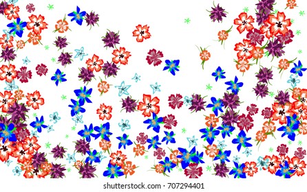 Floral Design. Bright Background with Flowers for Postcard, Brochure, Greeting Card, Banner, Book Cover. Simple Blossoms on White Field.