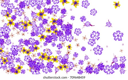 Floral Design. Bright Background with Flowers for Postcard, Brochure, Greeting Card, Banner, Book Cover. Simple Blossoms on White Field.