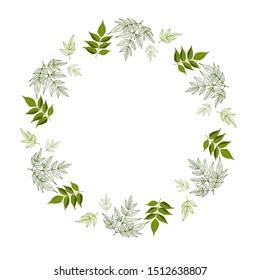 Floral design card with leaves hand drawn, vector.  Herbs forest round isilated on white.