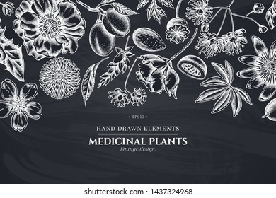 Floral design with chalk almond, dandelion, ginger, poppy flower, passion flower, tilia cordata