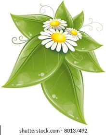 Floral design with chamomile, vector illustration, eps-10