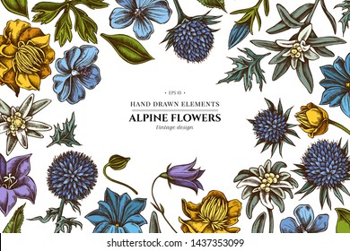 Floral design with colored bellflower, edelweiss, globethistle, globeflower, meadow geranium, gentiana