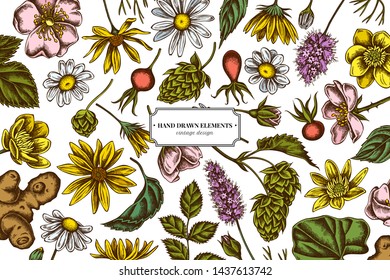 Floral design with colored celandine, chamomile, dog rose, hop, jerusalem artichoke, peppermint